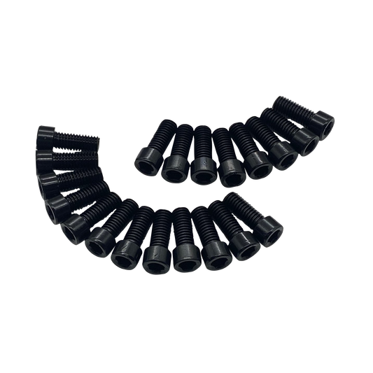 Trak Racer M8 X 20mm Hex Screws - Set of 20